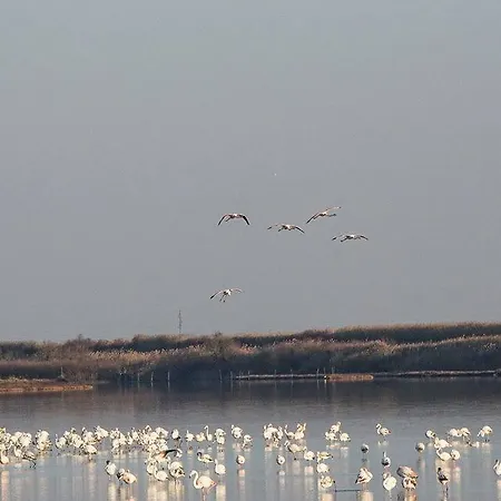 Tent Spiaggia E Mare Holiday Park 홀리데이파크