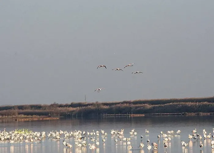 Tent Spiaggia E Mare Ferienpark